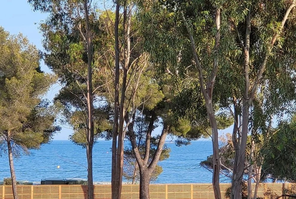 Villa in Ville-Les Saquedes-Le Bouillonnet, Sainte-Maxime, France 1 - 18498249