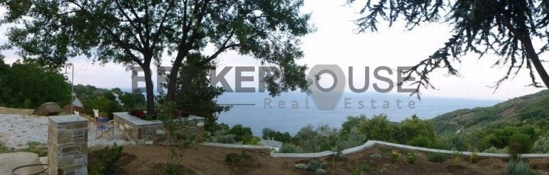 House in Mouresi, Thessaly and Central Greece, Greece 2 - 18498435
