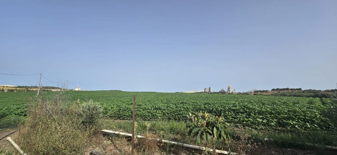 Farm Ranch in Jerez De La Frontera, Andalusia, Spain 2 - 18498457