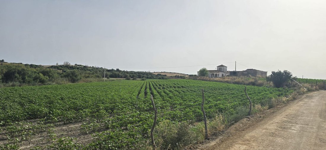 Farm Ranch in Jerez De La Frontera, Andalusia, Spain 3 - 18498457