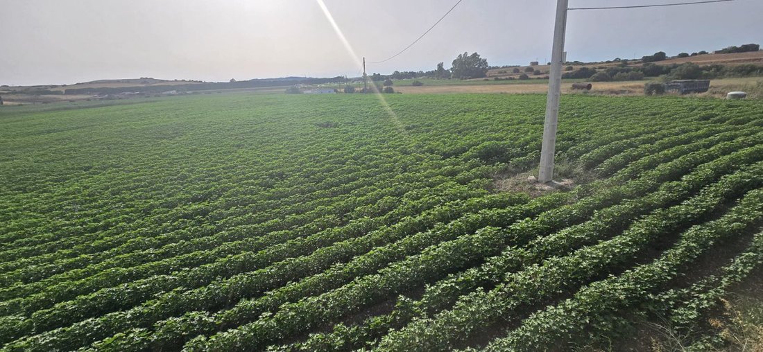 Farm Ranch in Jerez De La Frontera, Andalusia, Spain 1 - 18498457