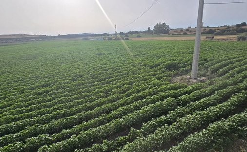 Farm Ranch in Jerez De La Frontera, Andalusia, Spain 1