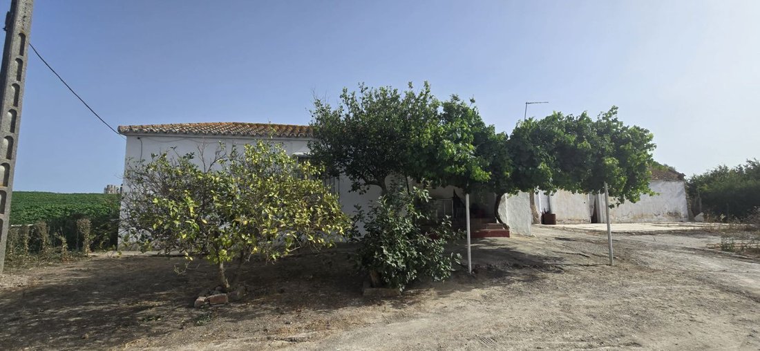 Farm Ranch in Jerez De La Frontera, Andalusia, Spain 4 - 18498457