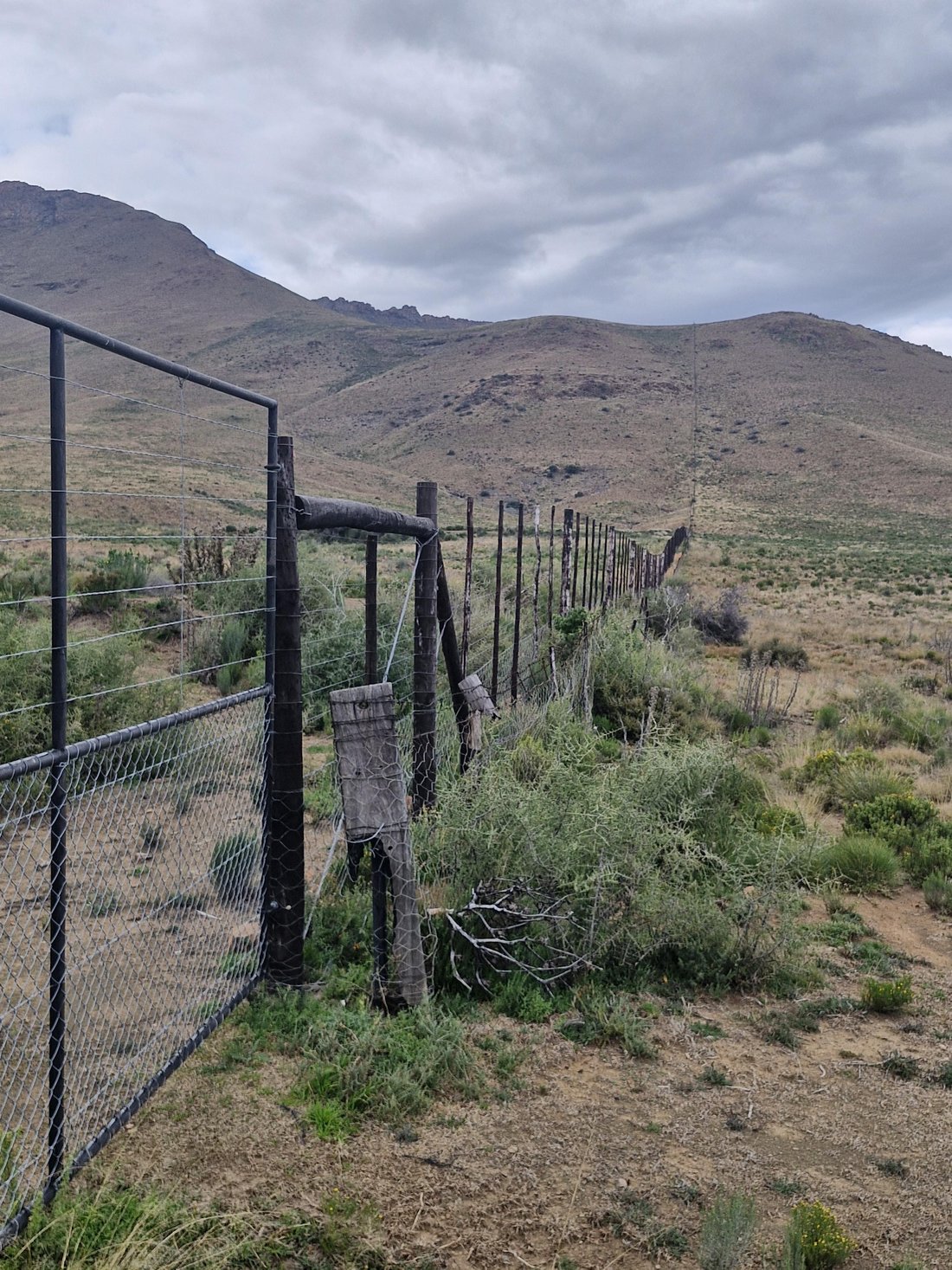 Farm Ranch in Western Cape, South Africa 2 - 18498397