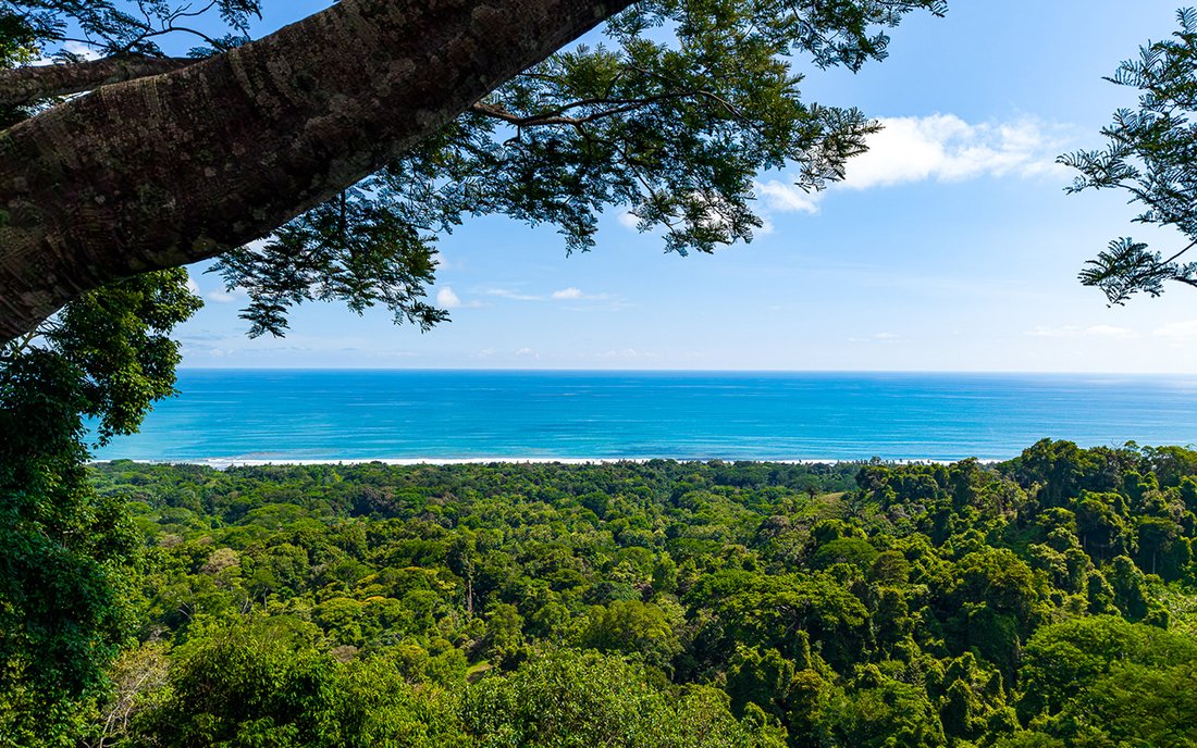 Land in Savegre de Aguirre, Puntarenas Province, Costa Rica 2 - 18501399