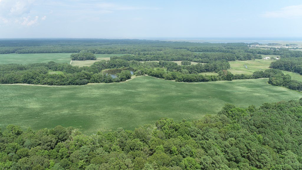 House in Parksley, Virginia, United States 5 - 18505283