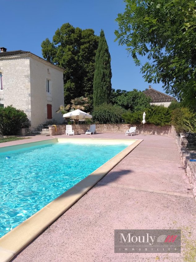 Estate in Barguelonne-en-Quercy, Occitania, France 1 - 16461899