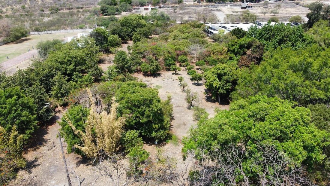 Land in Ticumán, Morelos, Mexico 5 - 18504578