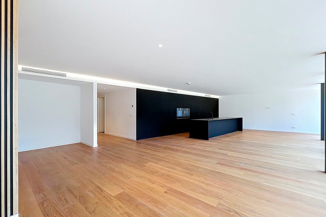 Apartment in Ordino, Ordino, Andorra 3 - 12365011