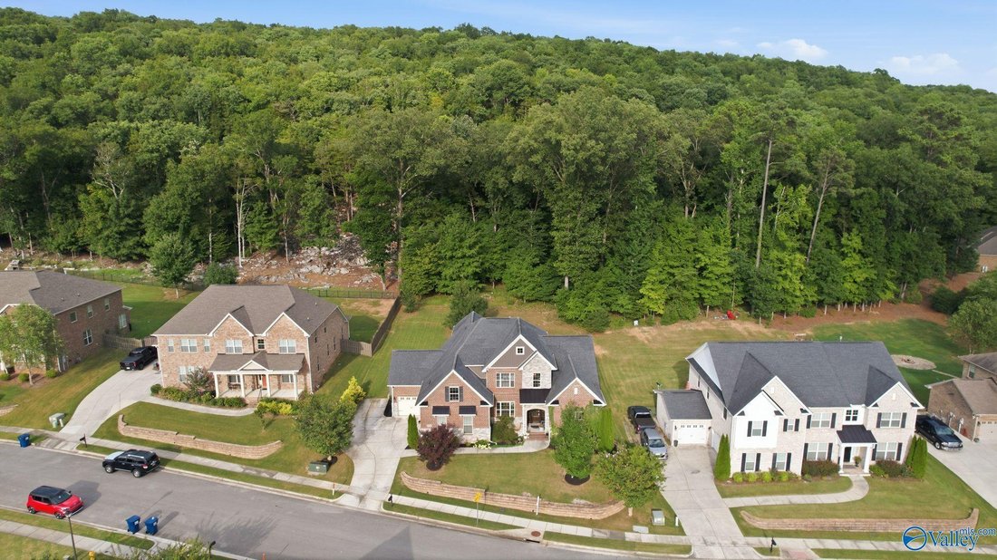 House in Owens Cross Roads, Alabama, United States 5 - 18502883