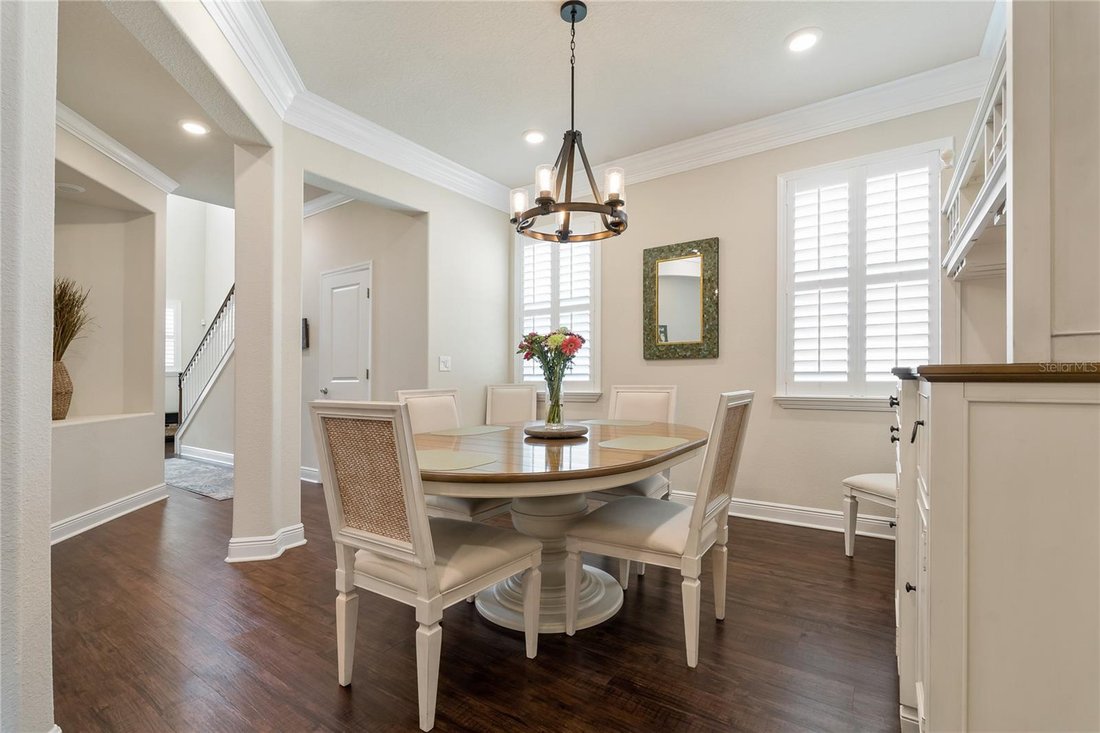 Townhouse in Palm Harbor, Florida, United States 5 - 18499575