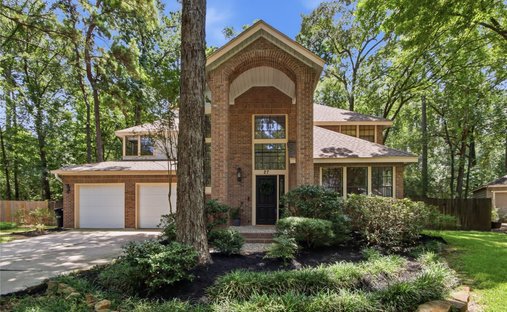House in The Woodlands, Texas, United States 1