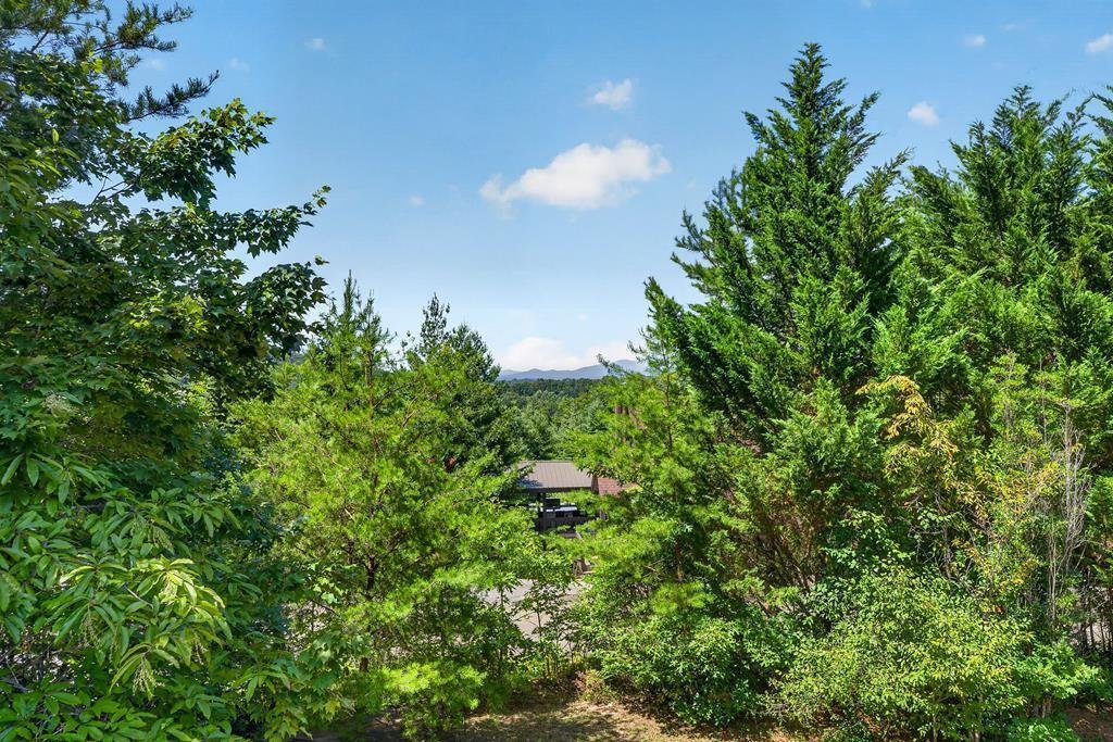 House in Blue Ridge, Georgia, United States 4 - 18498906