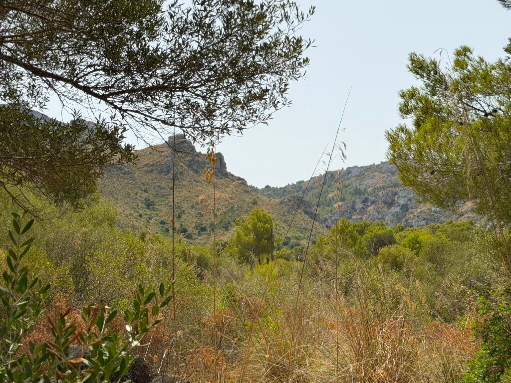 Terrain à Artà, Îles Baléares, Espagne 5 - 18504017