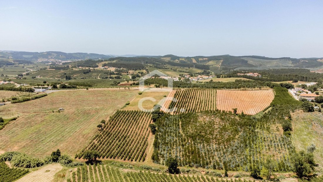 Farm Ranch in Landal, Leiria District, Portugal 4 - 18500993