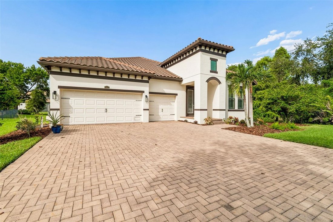 House in Tampa, Florida, United States 4 - 18499626