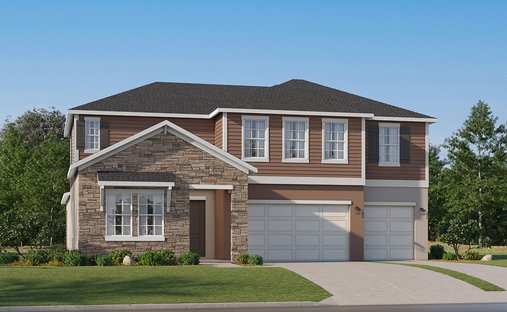 House in Zephyrhills, Florida, United States 1