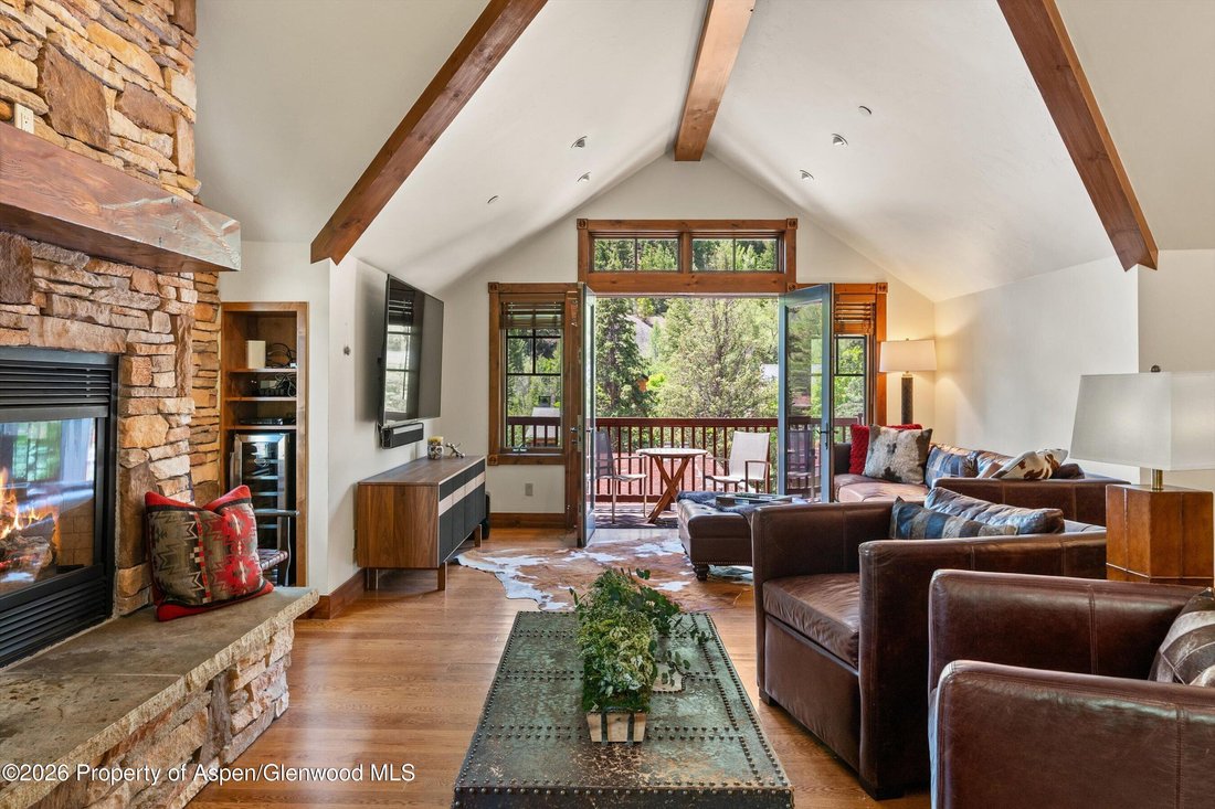 Condo in Aspen, Colorado, United States 1 - 18501489