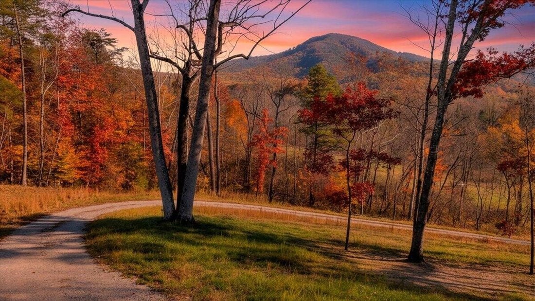 House in Cave Spring, Virginia, United States 1 - 18507455
