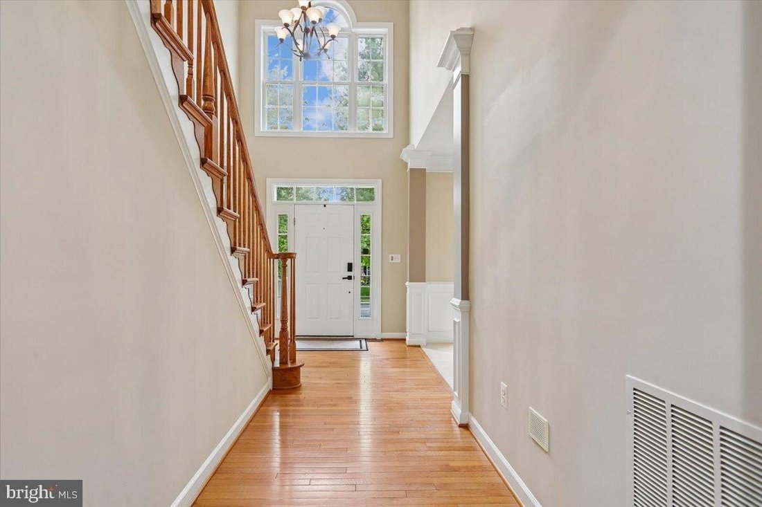 House in Broadlands, Virginia, United States 3 - 18505691