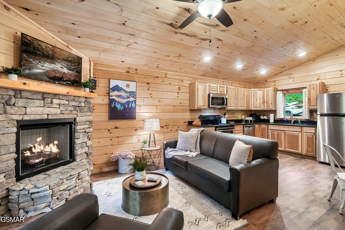 House in Gatlinburg, Tennessee, United States 2 - 18500101
