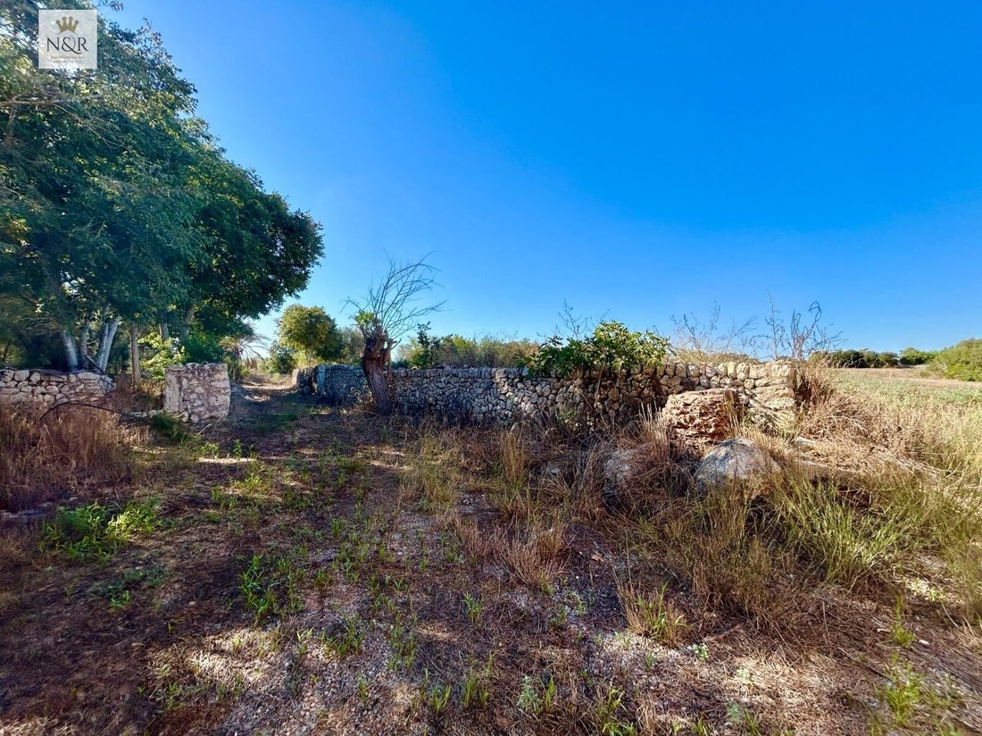 Landhaus in Llubí, Balearische Inseln, Spanien 2 - 18502602