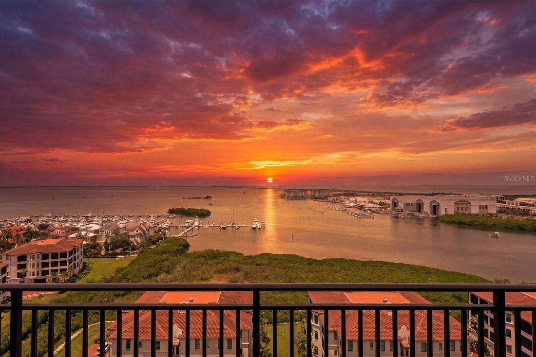 House in Tampa, Florida, United States 3 - 18504865