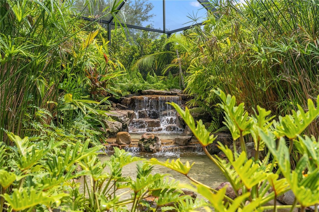 House in Tampa, Florida, United States 4 - 18502546