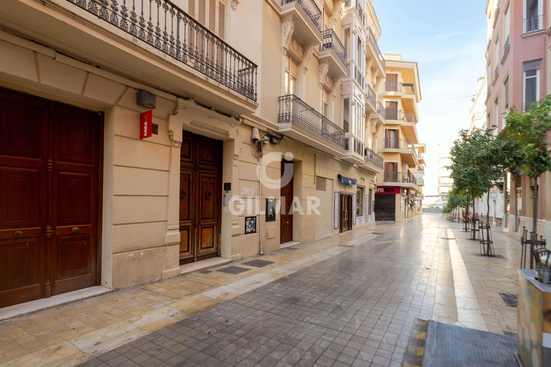 Apartment in Centro, Malaga, Spain 3 - 18499897