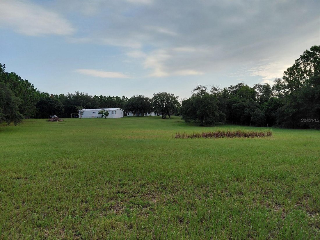 Clermont, Florida, United States 1 - 18502538