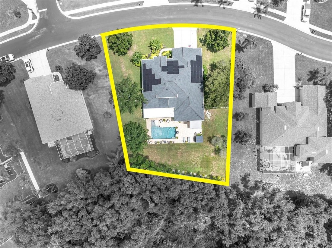 House in Trinity, Florida, United States 4 - 18502516