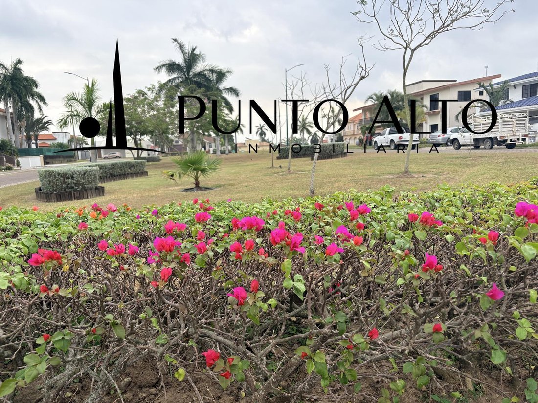 House in Miramar, Tamaulipas, Mexico 5 - 18498799