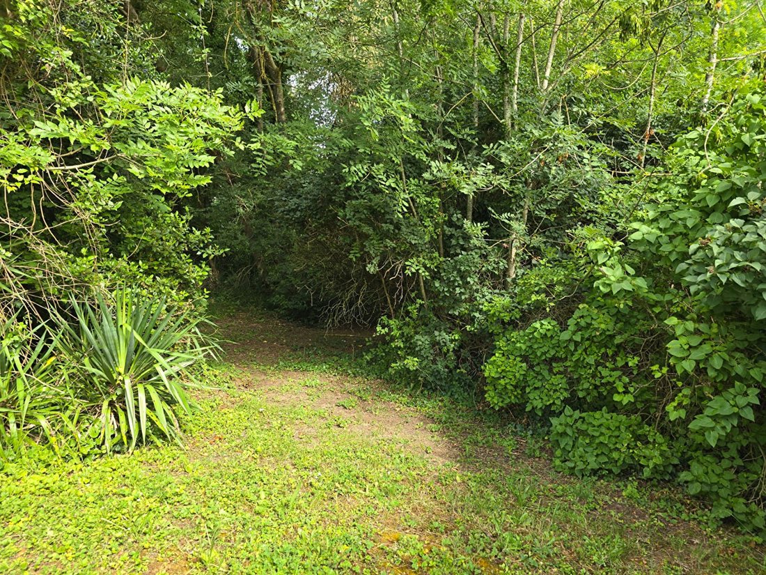 Land in Plateau et Pileu, Palaiseau, France 5 - 18501271