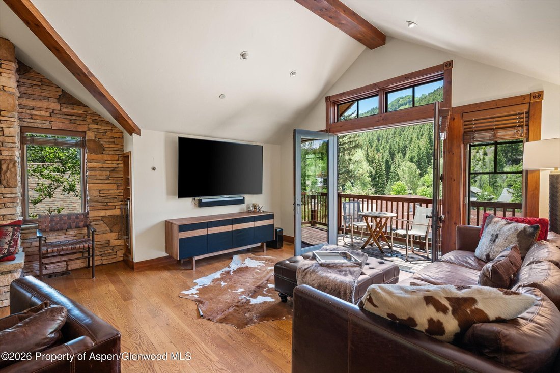 Condo in Aspen, Colorado, United States 4 - 18501489