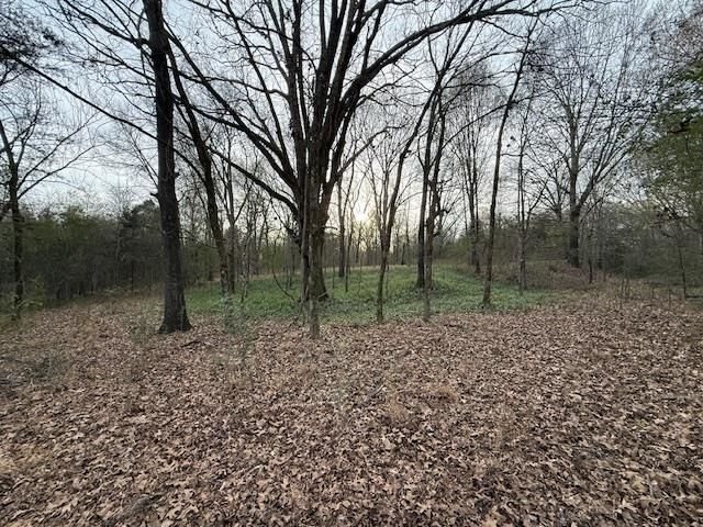Land in Collierville, Tennessee, United States 4 - 18504833
