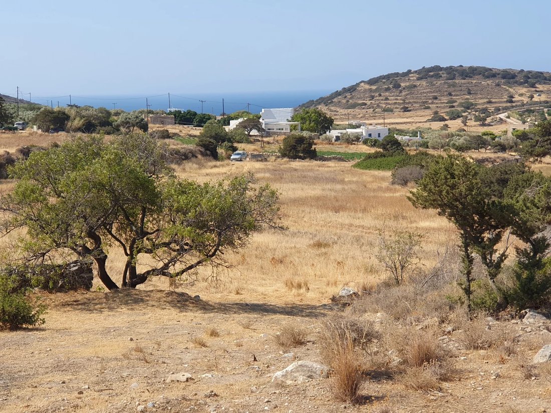 Land in Paros, Aegean, Griechenland 2 - 18501184