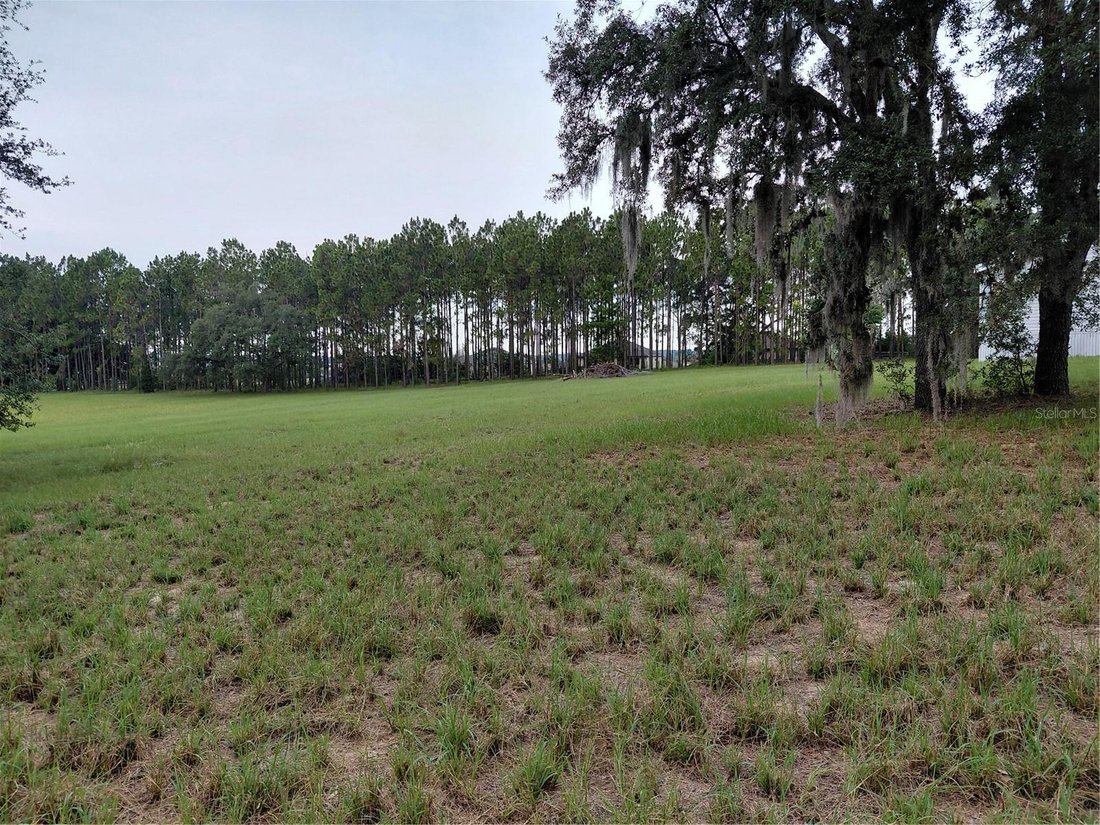 Clermont, Florida, United States 4 - 18502538