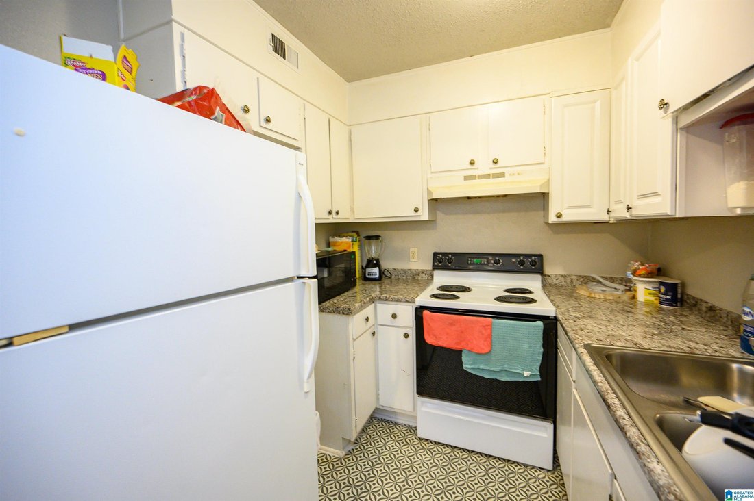 Apartment in Birmingham, Alabama, United States 5 - 18499356