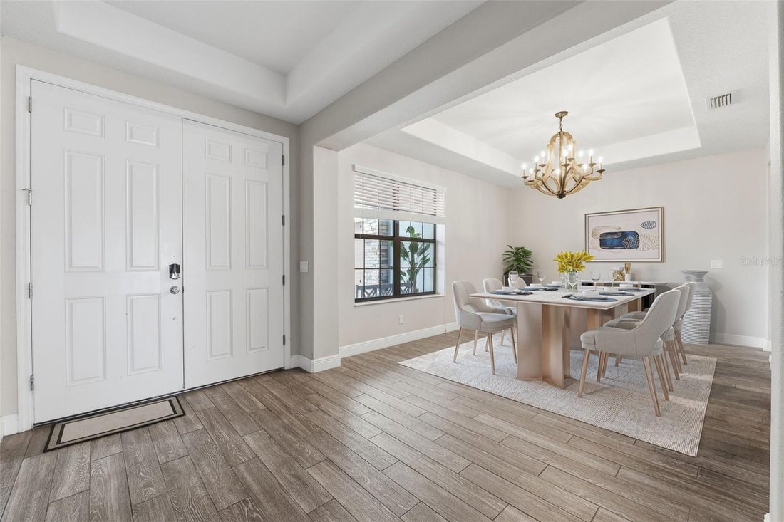 House in Tampa, Florida, United States 5 - 18502565