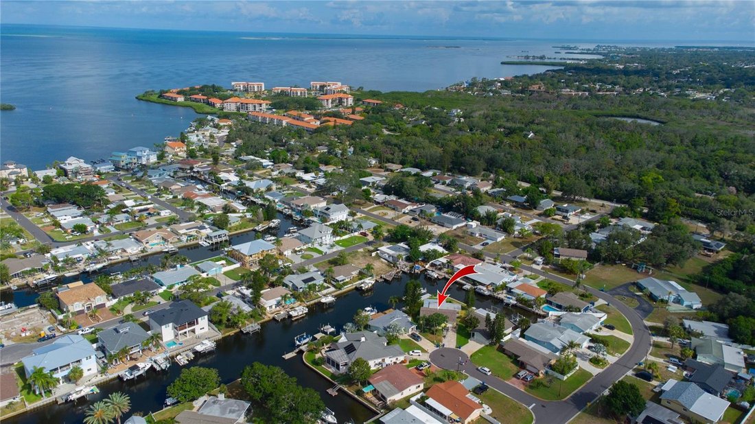 House in Palm Harbor, Florida, United States 1 - 18502549