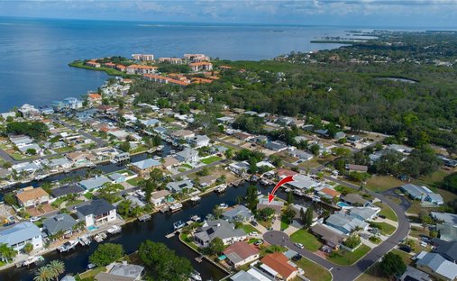 House in Palm Harbor, Florida, United States 1