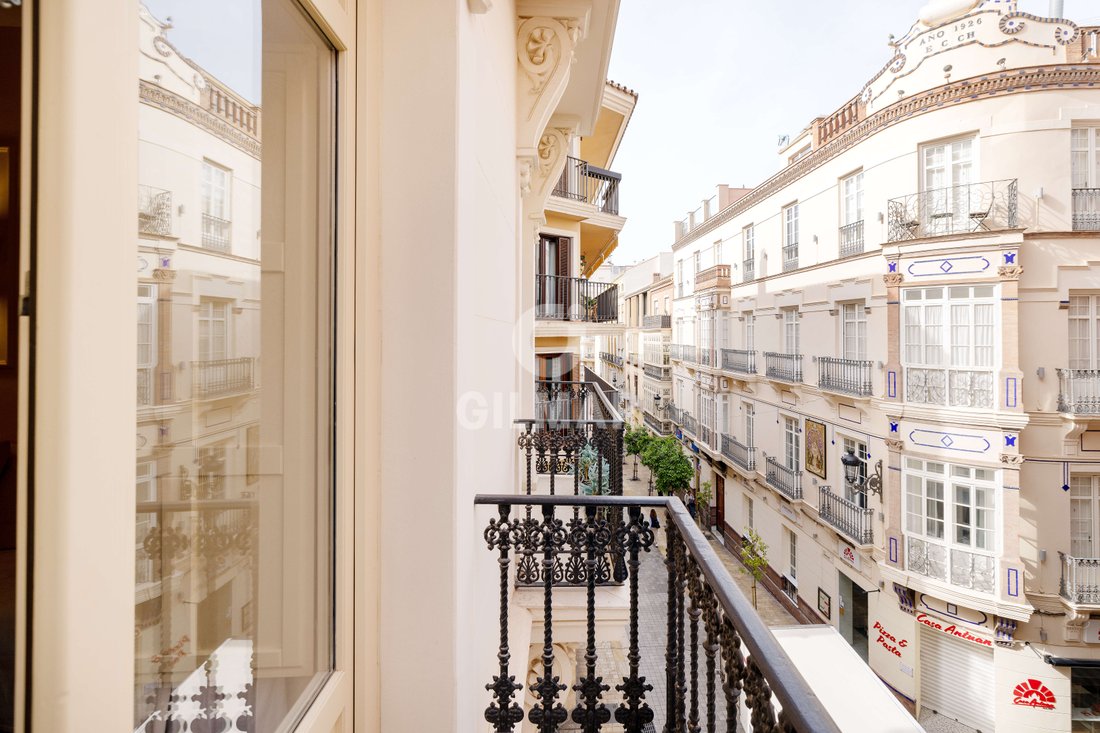 Apartment in Centro, Malaga, Spain 4 - 18499893