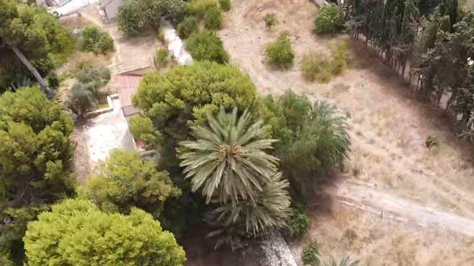 Farm Ranch in Alicante, Valencian Community, Spain 4 - 18504251