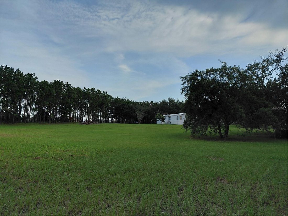 Clermont, Florida, United States 2 - 18502538