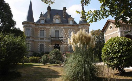 Castle in Habas, Nouvelle-Aquitaine, France 1