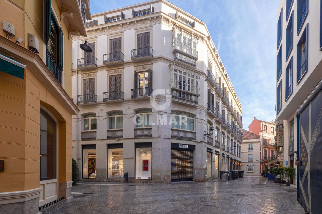 Apartment in Centro, Malaga, Spain 2 - 18499291