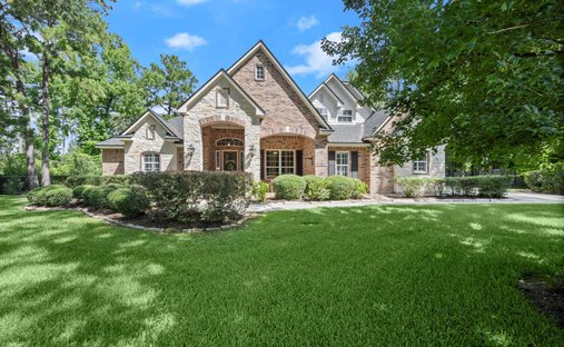 House in Spring, Texas, United States 1