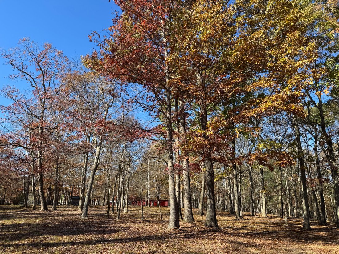 Farm Ranch in Clearfield, Pennsylvania, United States 4 - 18503332