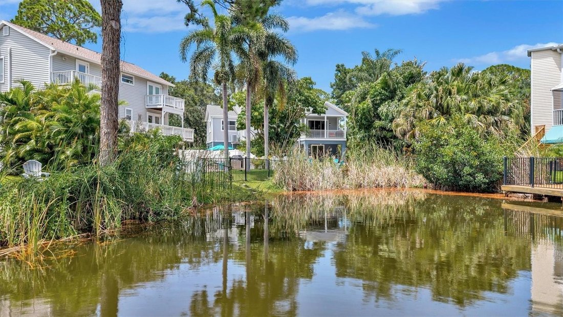 Casa a Palm Harbor, Florida, Stati Uniti 5 - 18504817