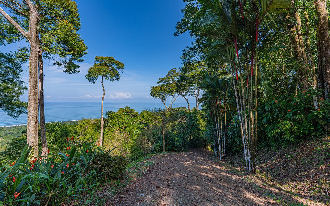 Land in Savegre de Aguirre, Puntarenas Province, Costa Rica 4 - 18501399
